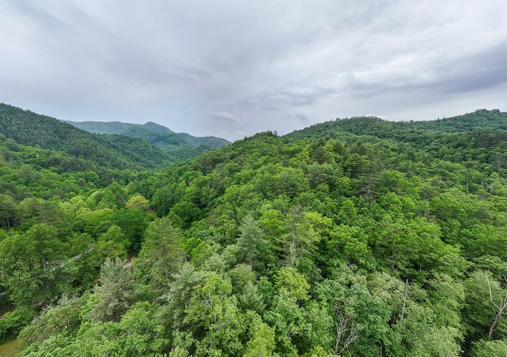 Land at 399 Shell Stand Road, Almond, NC 28702, photo 11 of 21