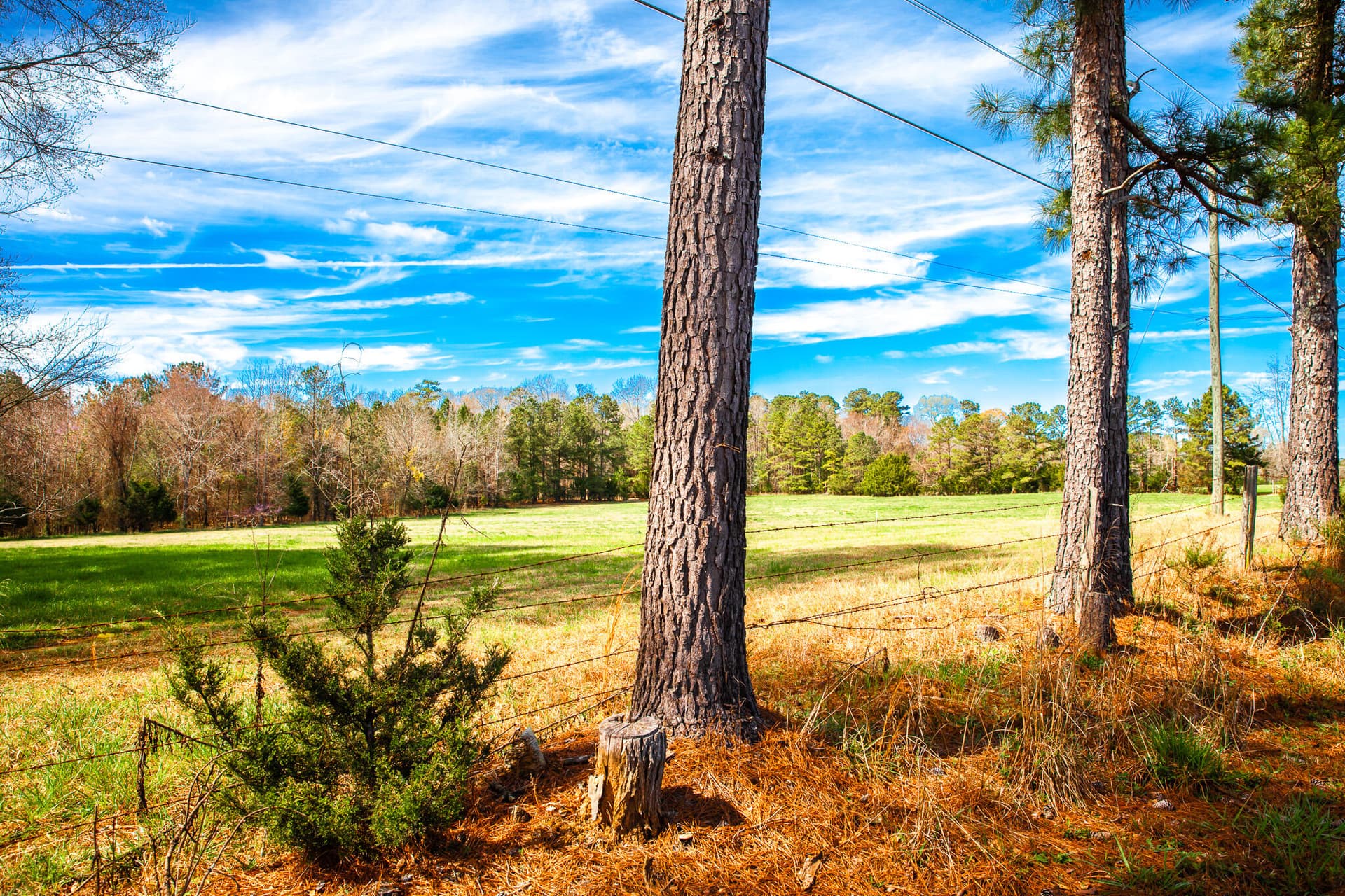Undeveloped at 3510 4 Mistletoe Road, Appling, GA 30802
