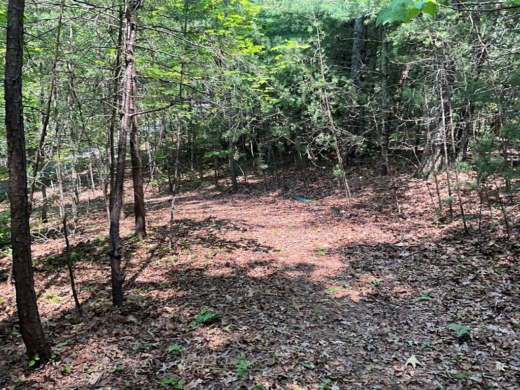 Land at 5 Birds View Lane, Murphy, NC 28906, photo 16 of 17