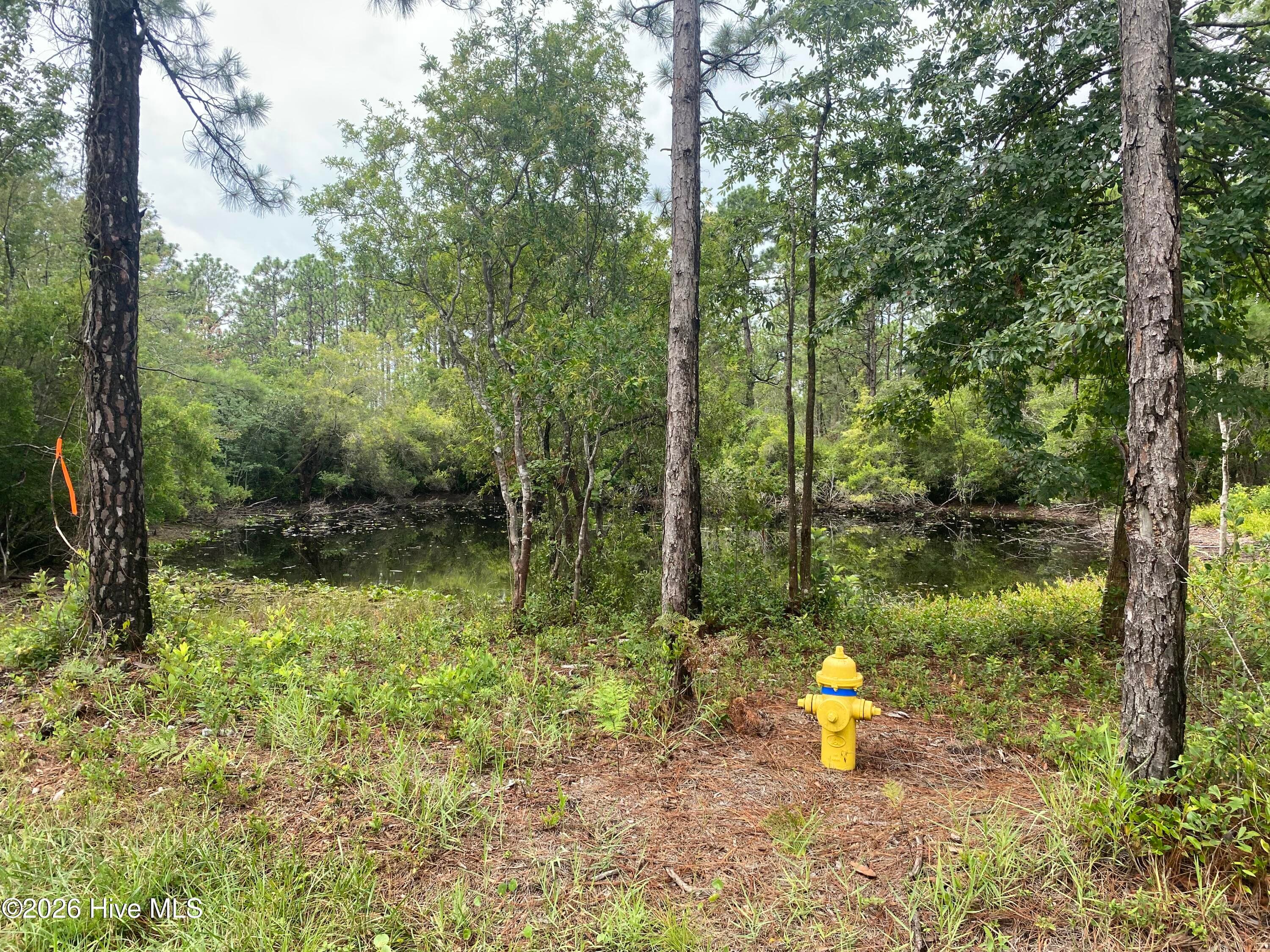 Residential Lot at 120 Dixon Road, Boiling Spring Lakes, NC 28461, photo 2 of 4