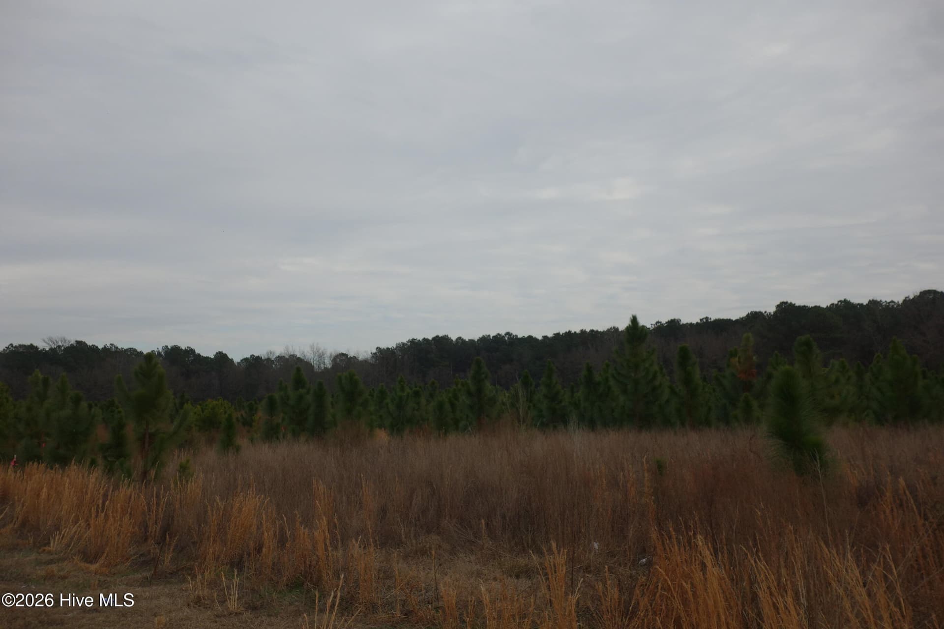 Lot 45 Stuarts Mill Road, Fairmont, NC 28340