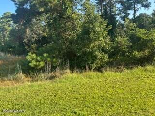 1616 144 Caracara Drive, New Bern, NC 28560