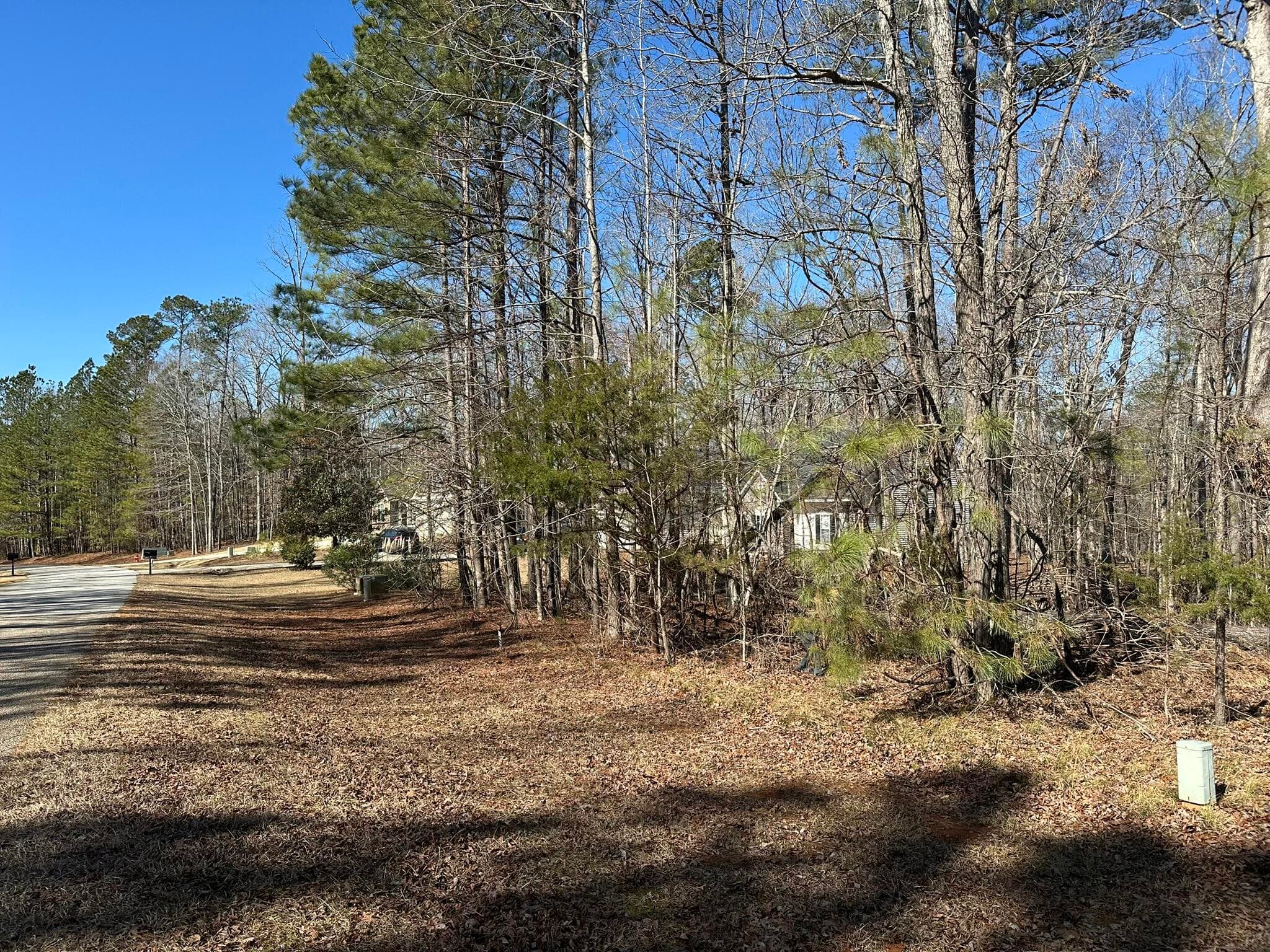 Residential Lot at Lot 31 31 Willow Way, Lincolnton, GA 30817, photo 3 of 24