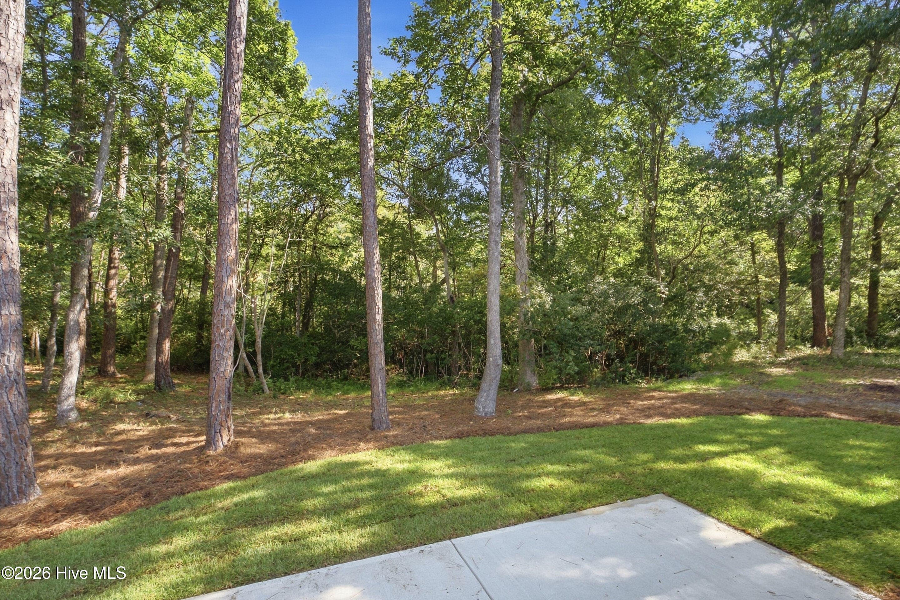 Single Family Residence at 3392 Eagle Crest Drive SW, Supply, NC 28462, photo 54 of 71