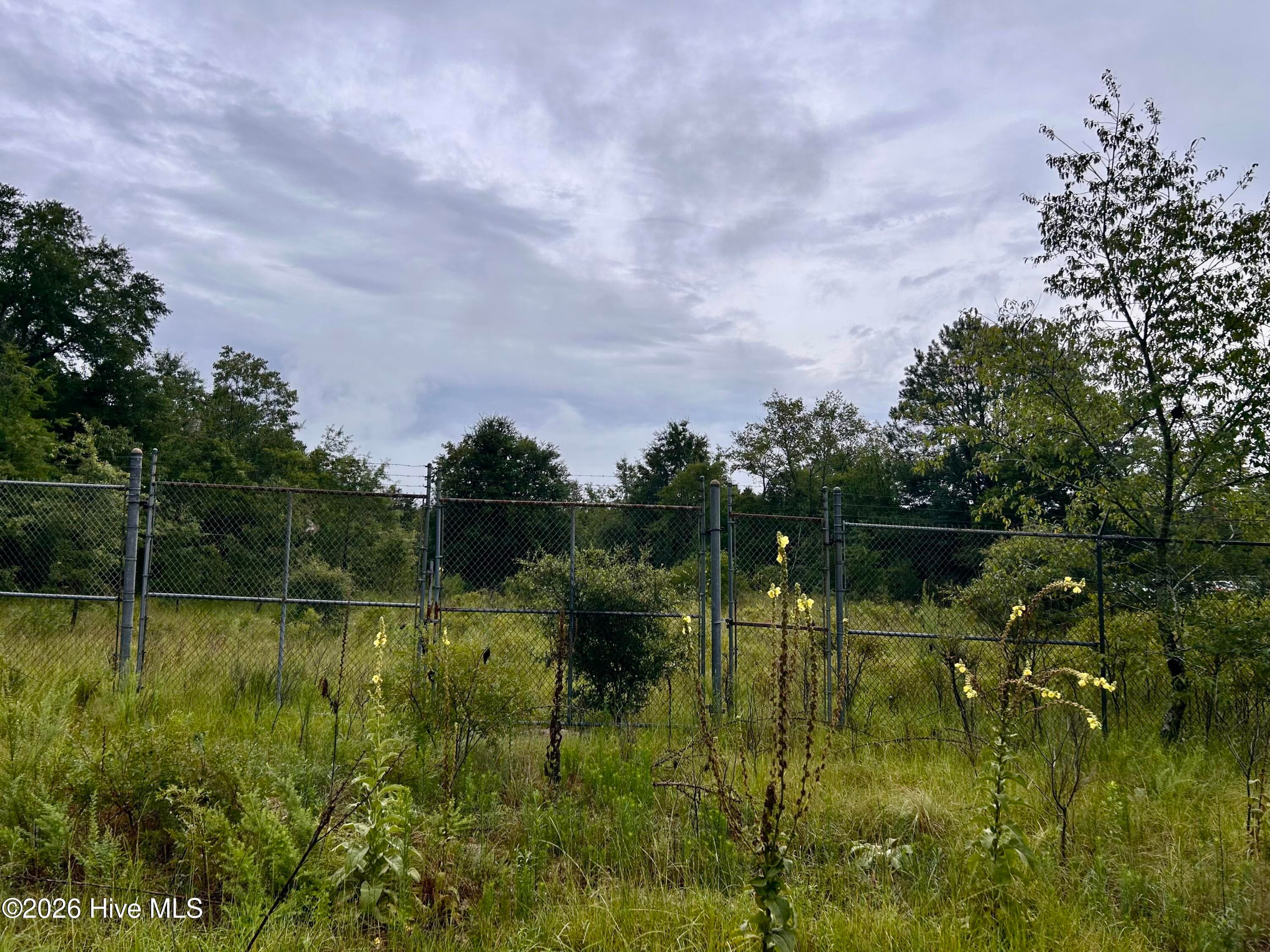 Commercial Sale at 0 Carolina 381, Hamlet, NC 28345, photo 2 of 8