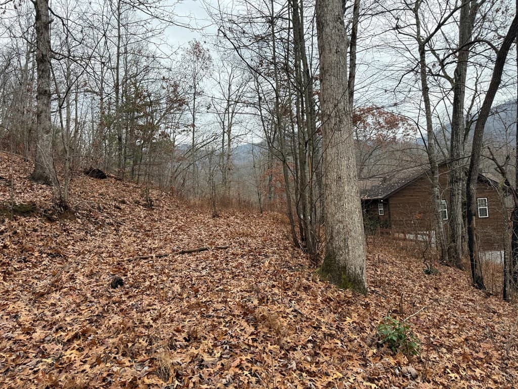 Land at 0 Flaming Ridge, Hayesville, NC 28904, Hayesville, photo 6 of 7
