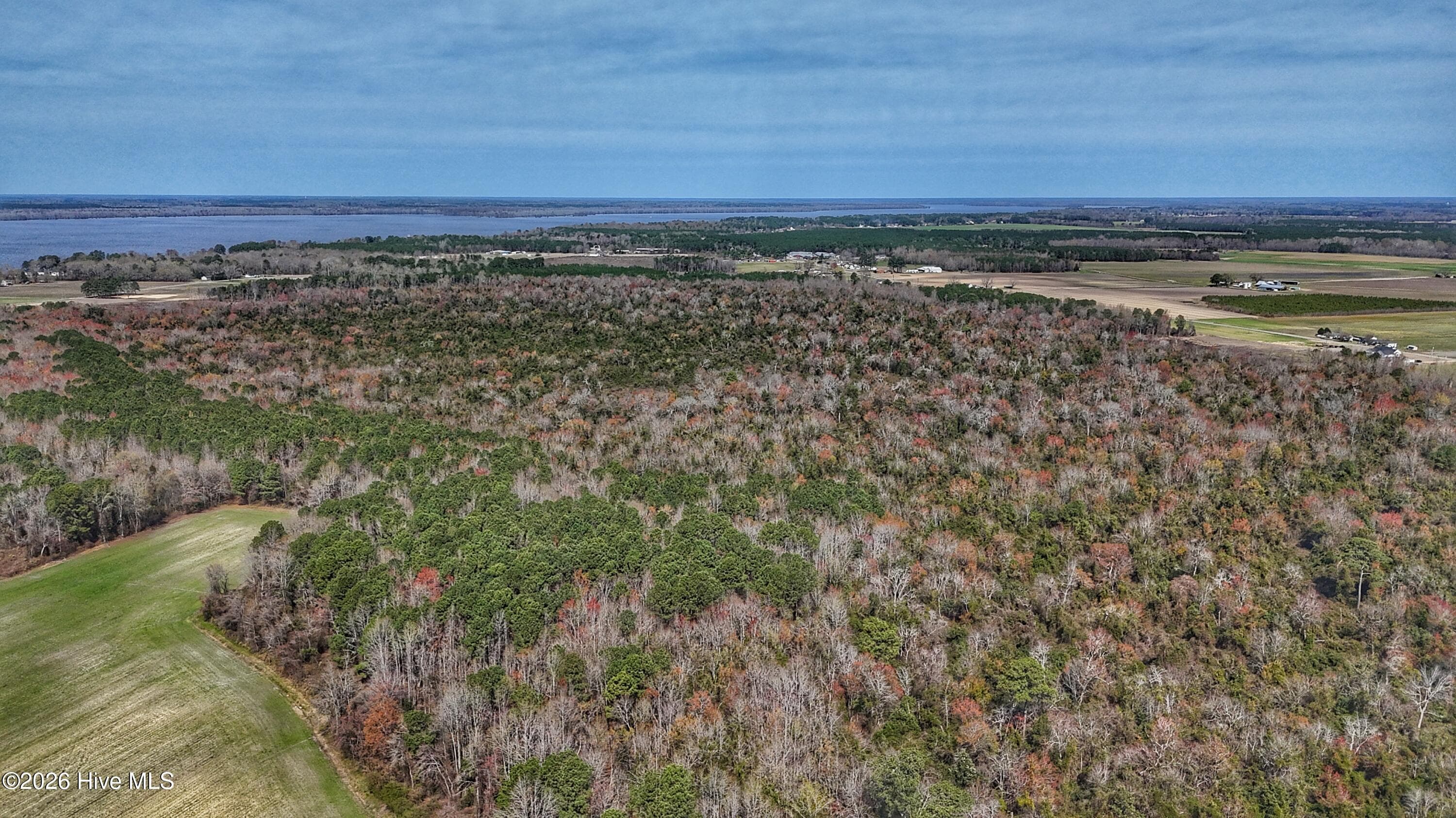 Wooded at 1612 Rocky Hock Landing Road, Edenton, NC 27932, photo 29 of 45