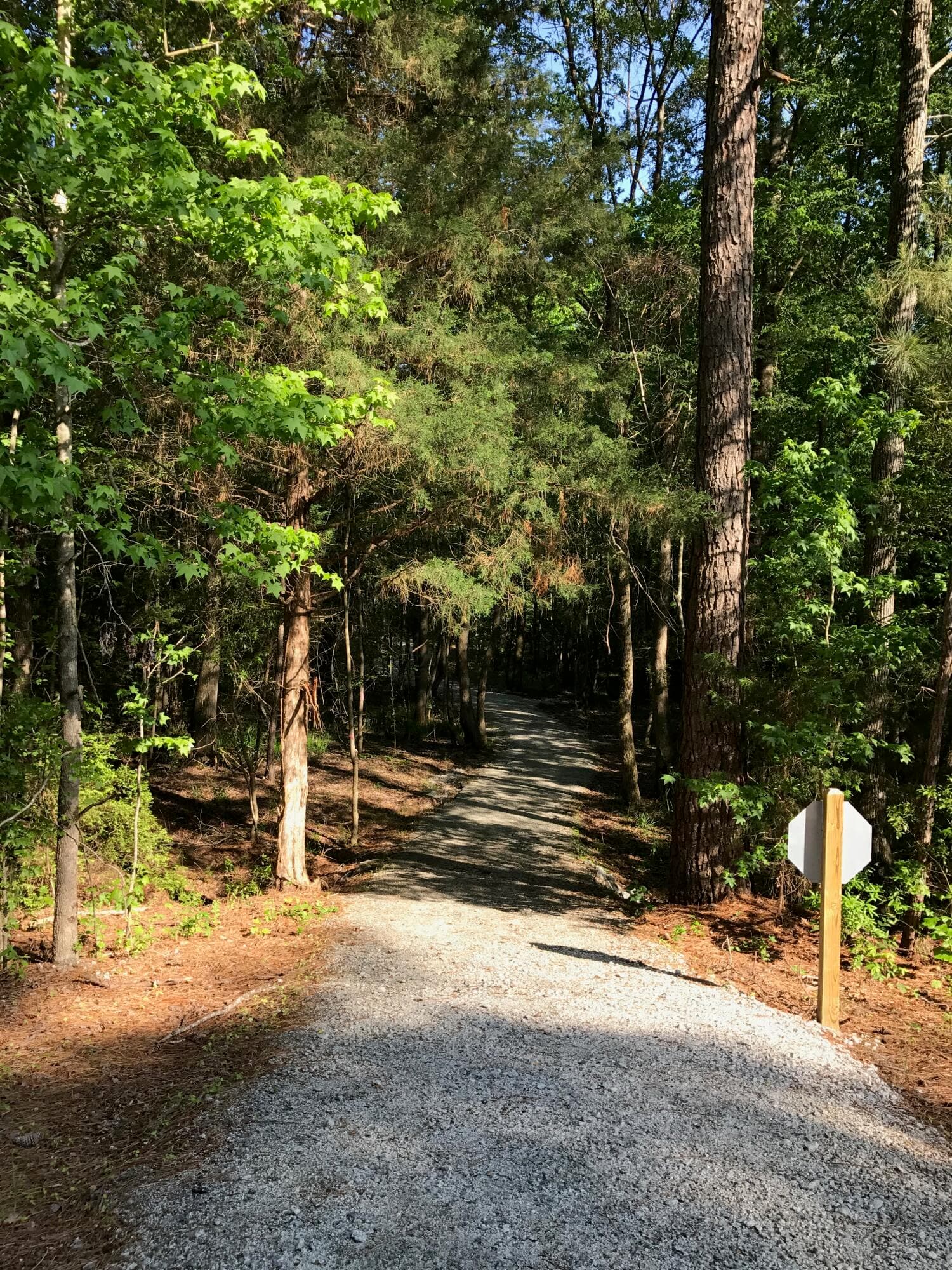 Residential Lot at 0 Rolland Place, McCormick, SC 29835, photo 9 of 9
