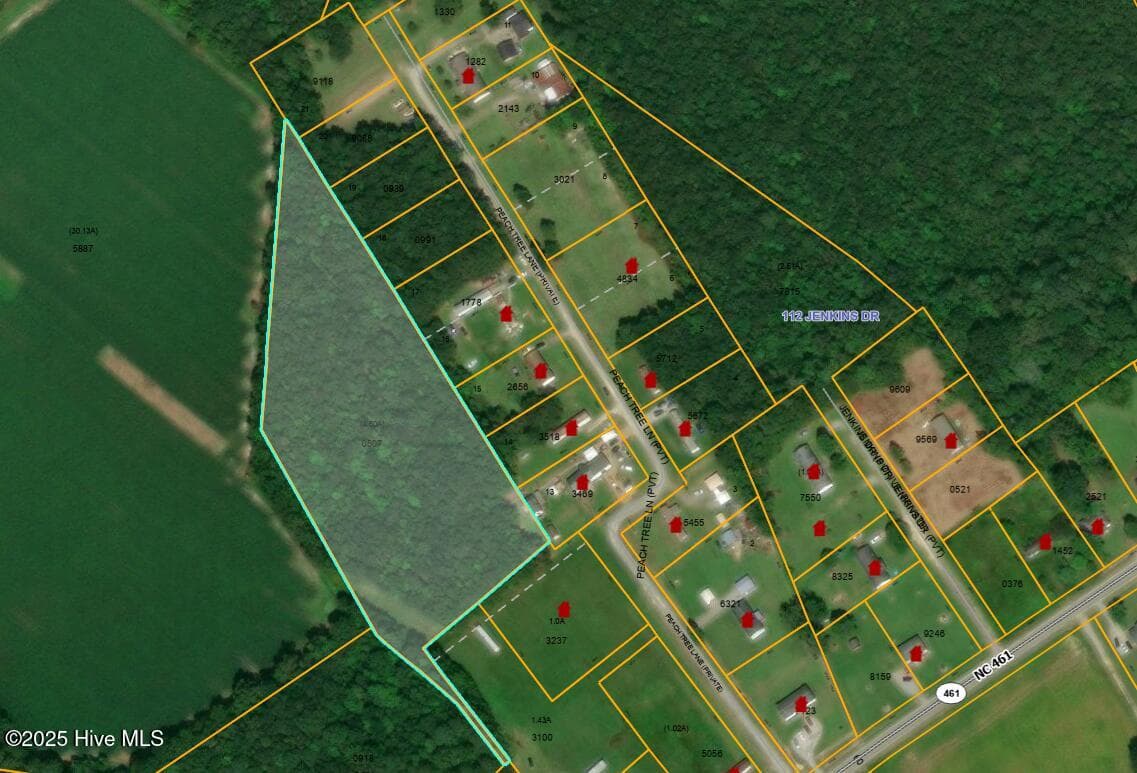 0 Peach Tree Lane, Ahoskie, NC 27910
