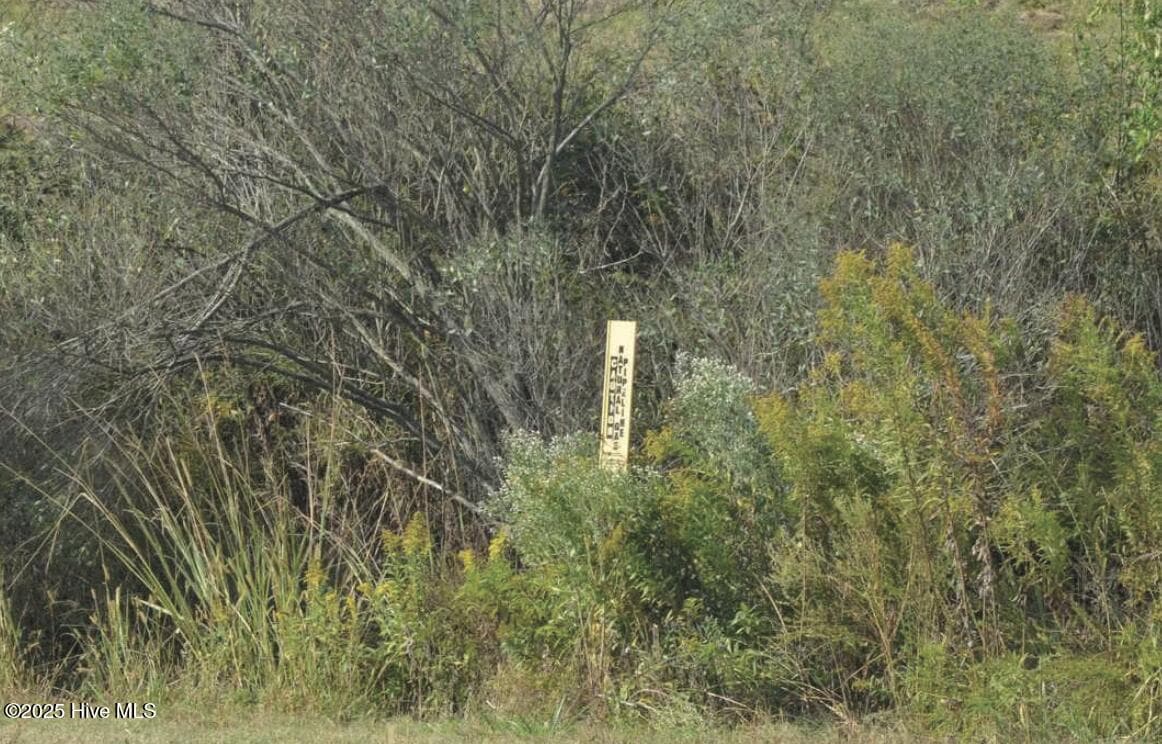 Agriculture at 1264 Us Hwy 17, Elizabeth City, NC 27909, photo 27 of 31
