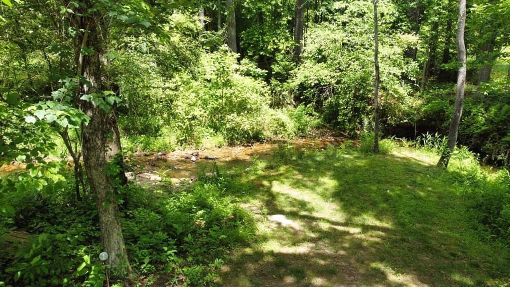 Tract 2 Timber Ridge Road, Blairsville, GA 30512