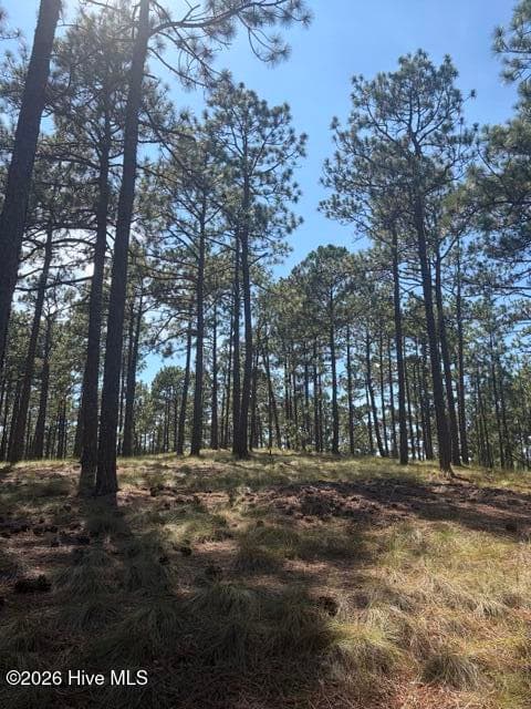 Wooded at Tbd Carthage Road, West End, NC 27376, photo 7 of 10