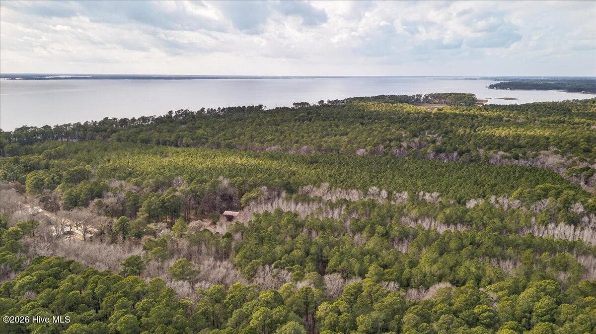 Wooded at 2162 Old Pamlico Beach Road W, Belhaven, NC 27810, photo 24 of 25