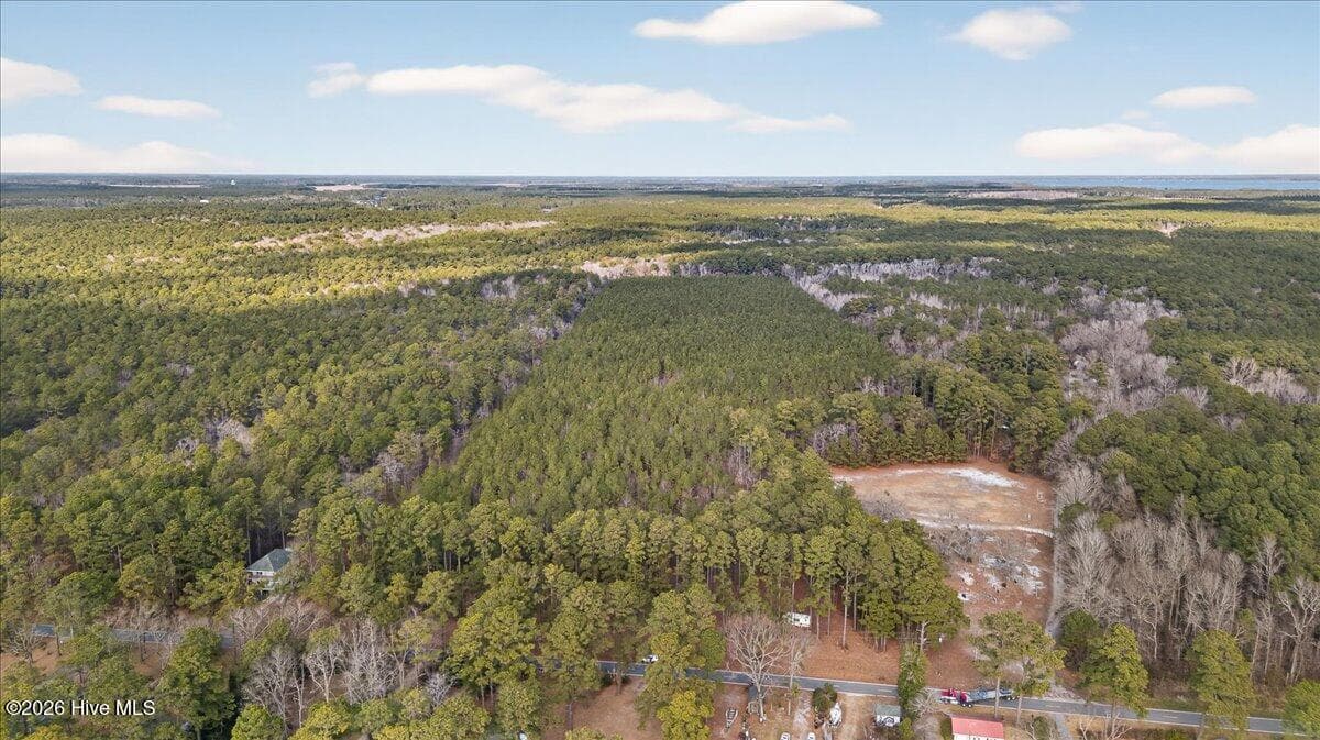 Wooded at 2162 Old Pamlico Beach Road W, Belhaven, NC 27810, photo 16 of 25