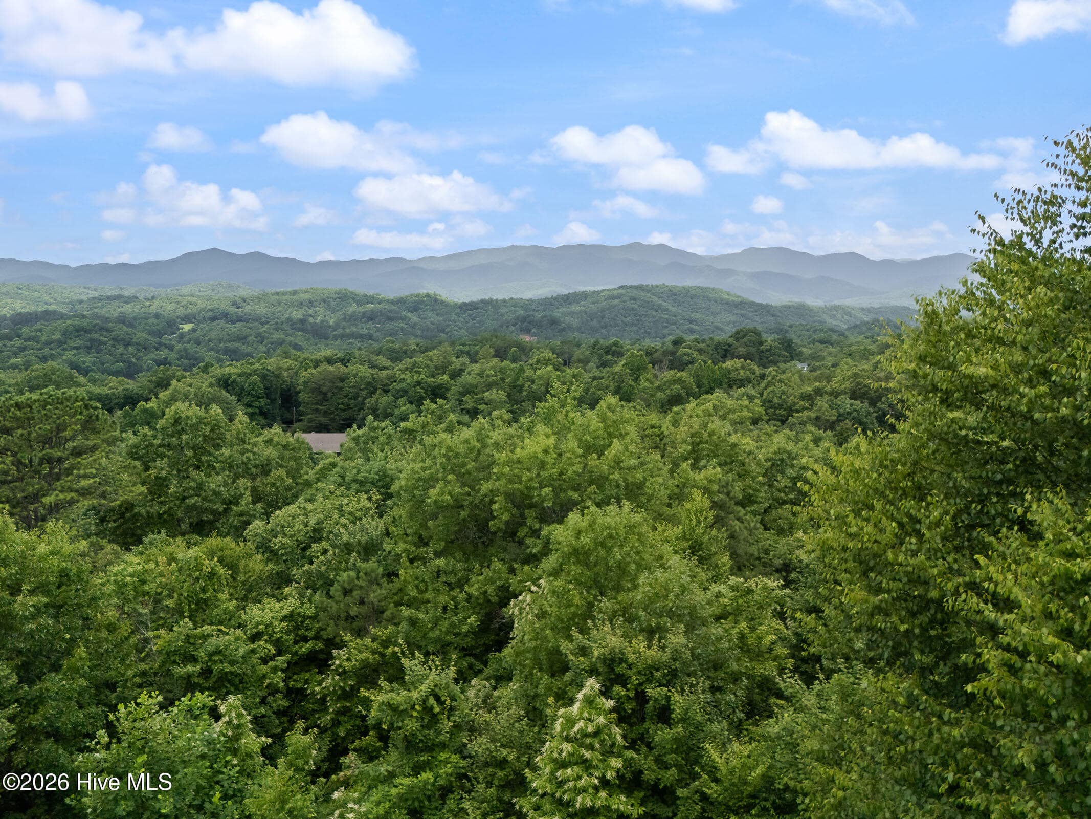 Single Family Residence at 181 Rice Lane, Marble, NC 28905, photo 4 of 80