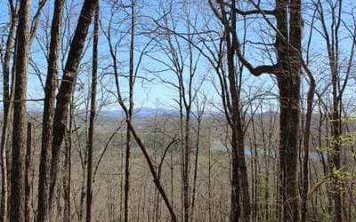 Residential Lot at Lot 1 1 High Country Lane, Morganton, GA 30560, photo 8 of 8