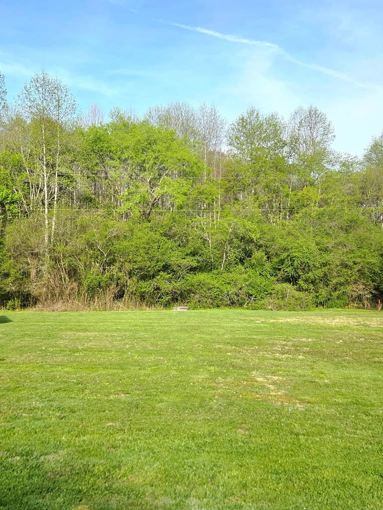 Undeveloped at Lot 27 Lazy Bear Trail, Andrews, NC 28901, photo 7 of 7