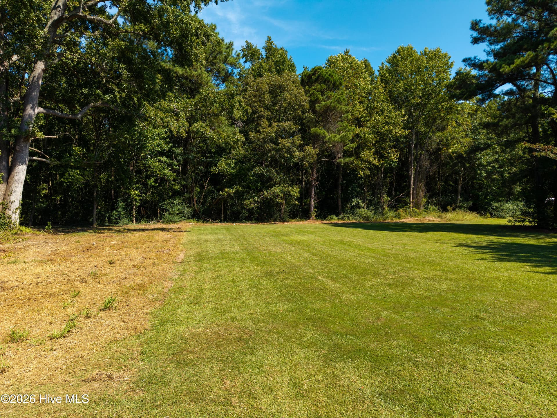 Commercial Sale at 330 Dillard'S Mill Road, Tyner, NC 27980, photo 19 of 23
