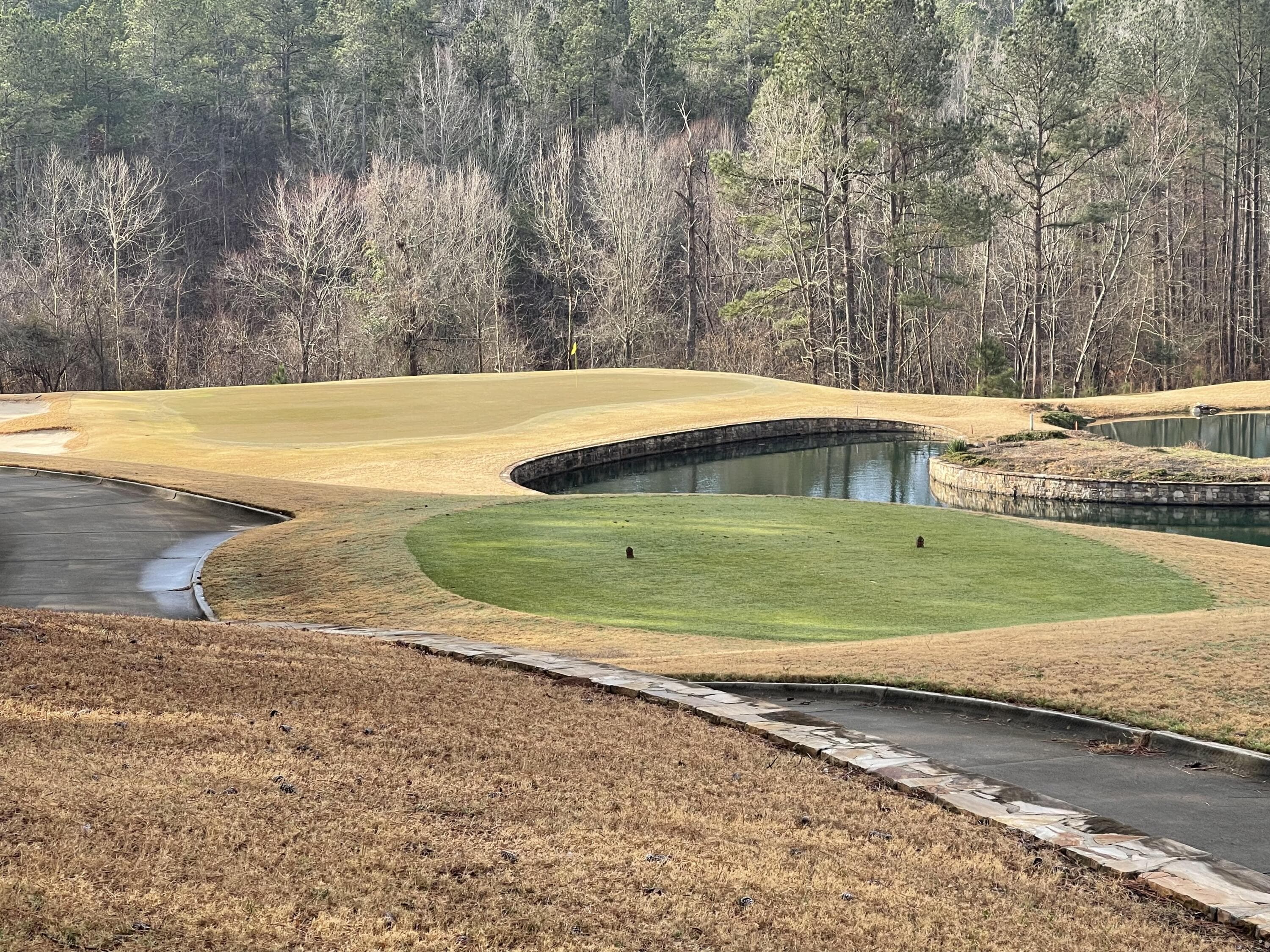 Undeveloped at Lot L-22 Militia Loop, North Augusta, SC 29860, photo 3 of 12