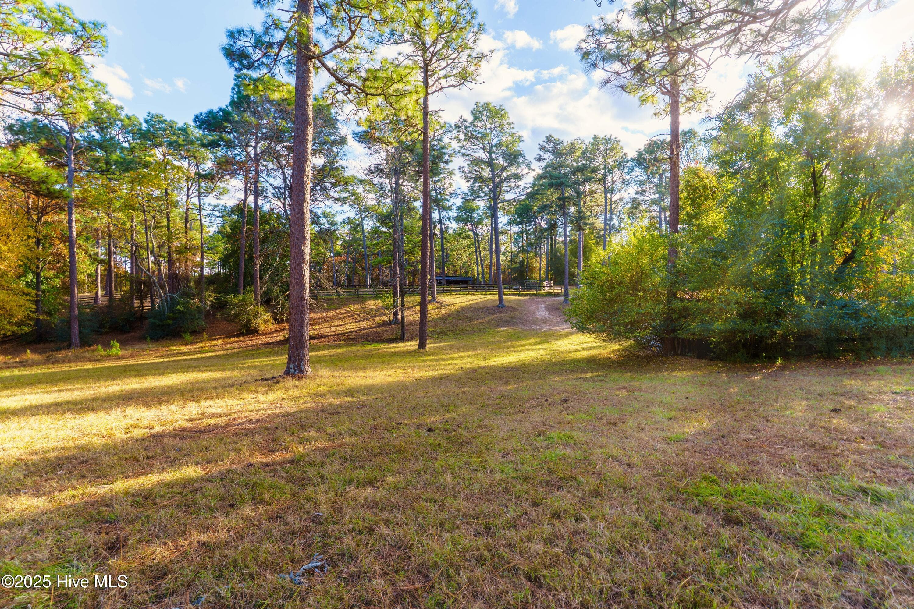Single Family Residence at 292 Bump A Long Lane, Southern Pines, NC 28387, photo 26 of 82
