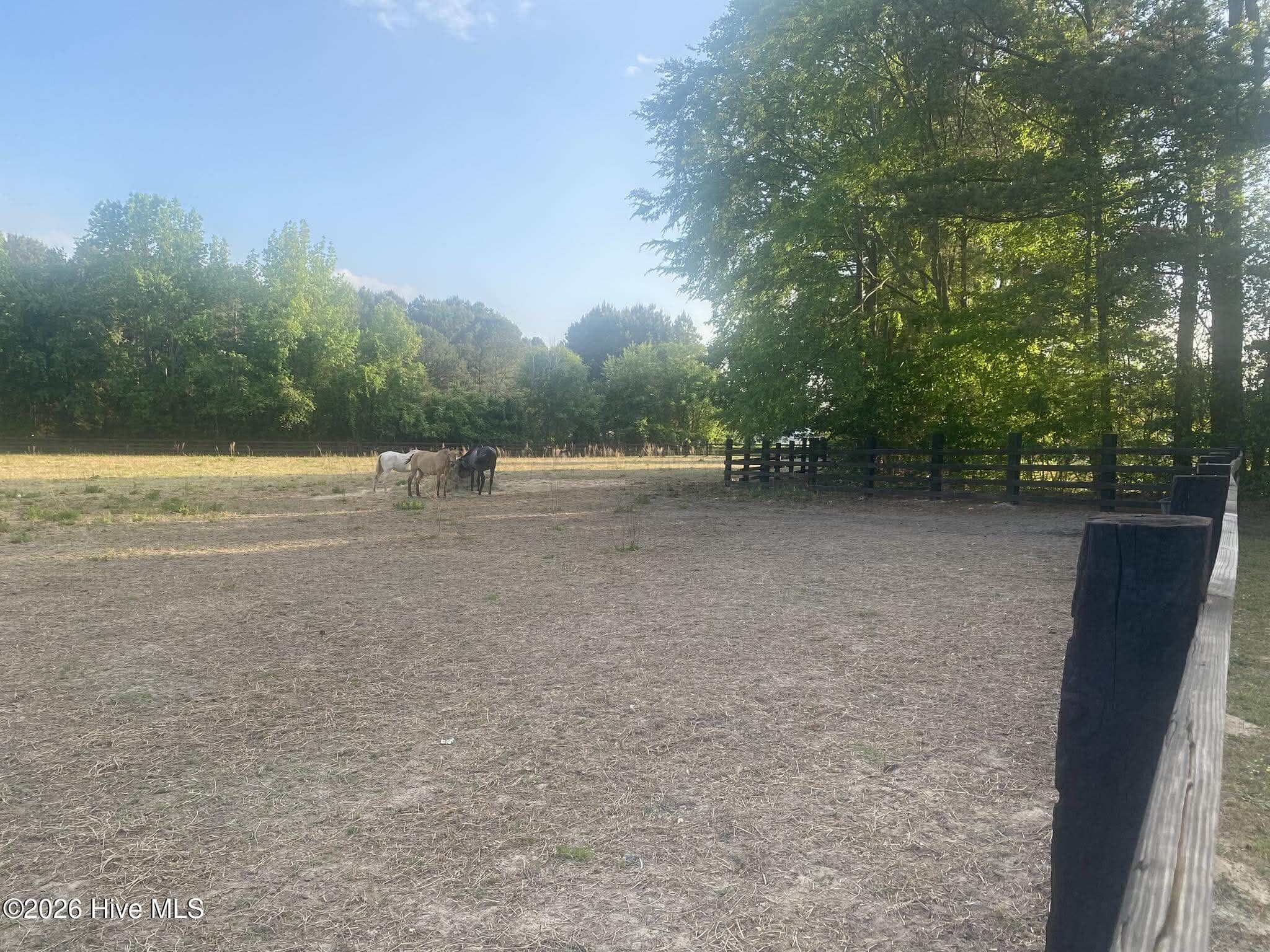 Residential Lot at 52 Fellowship Church Road, Princeton, NC 27569, photo 7 of 19