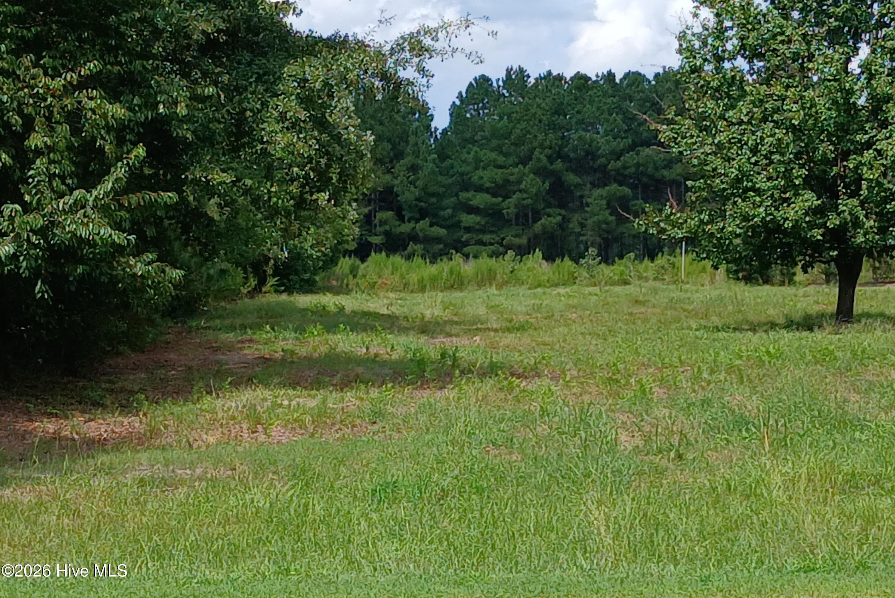 Mixed Use at On 24 N/Si On 24, Warsaw, NC 28398, photo 4 of 4