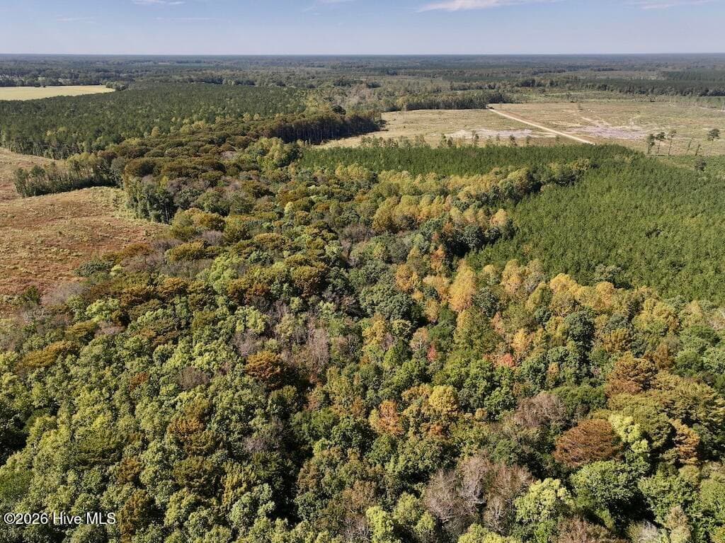 Mixed Use at 0 Spring Hill Road, Scotland Neck, NC 27874, photo 75 of 93