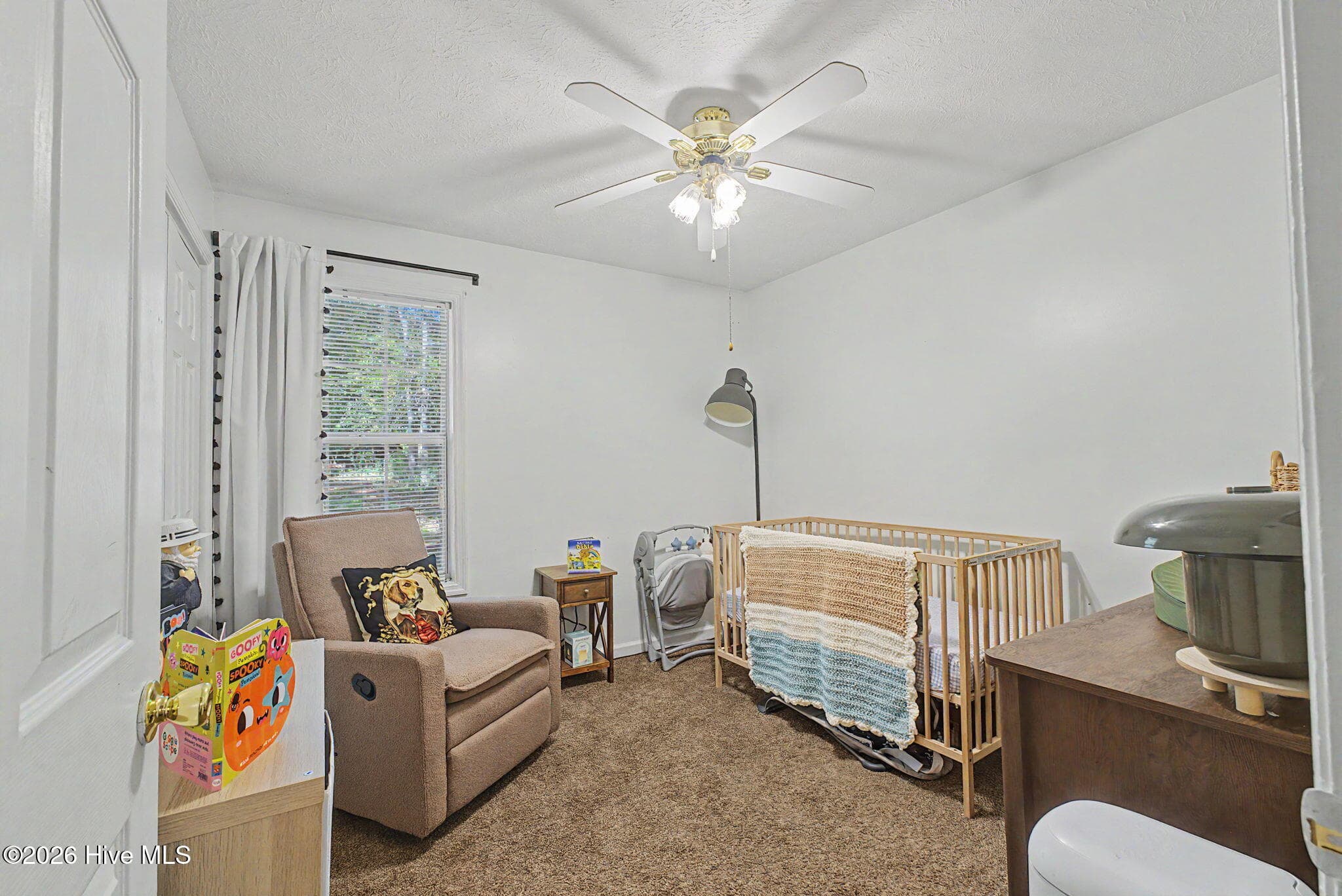 Single Family Residence at 220 Thurmond Street, Edgefield, SC 29824, Edgefield, photo 17 of 26
