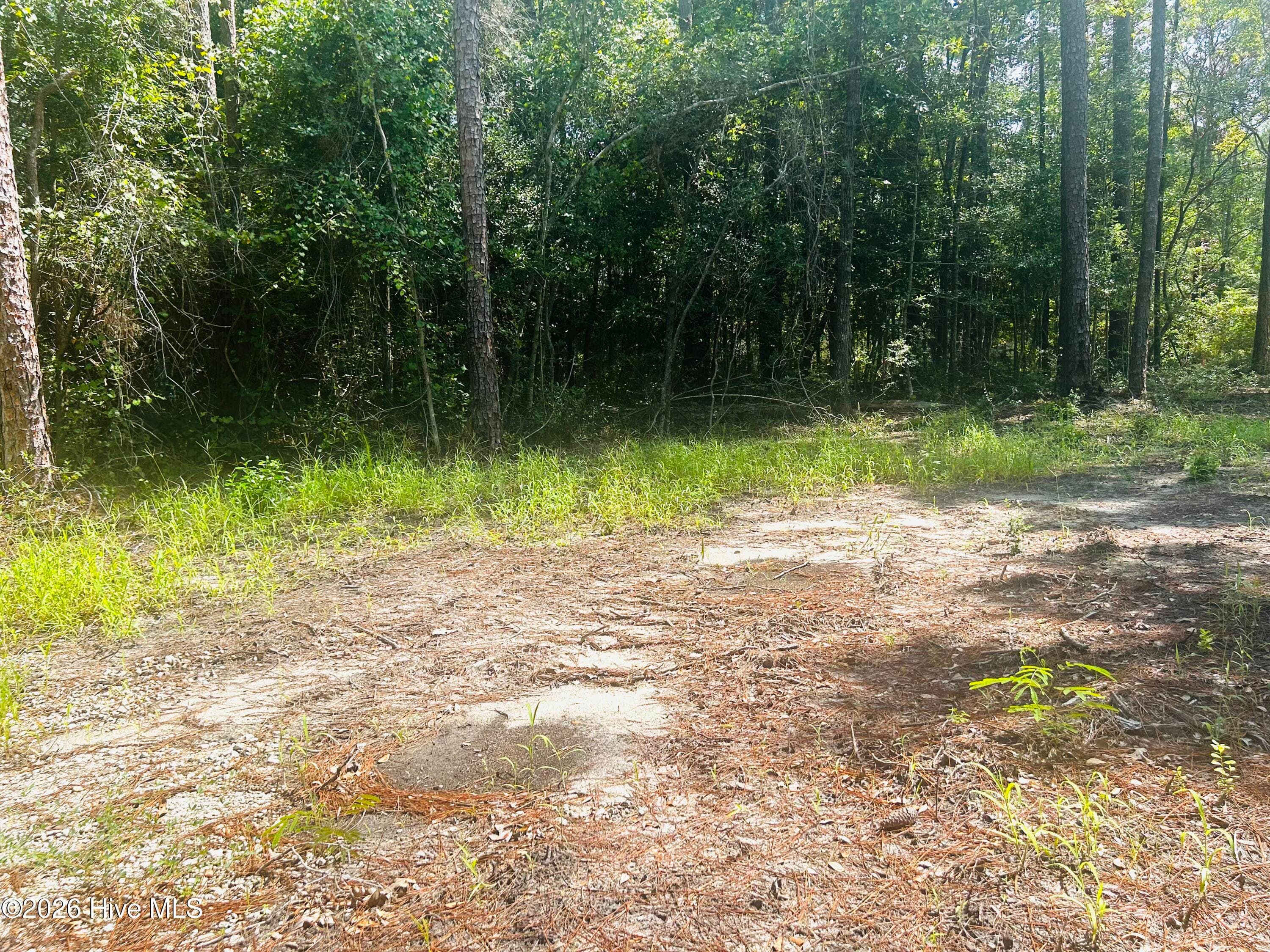Residential Lot at 679 15 Westwind Drive SW, Supply, NC 28462, photo 4 of 5