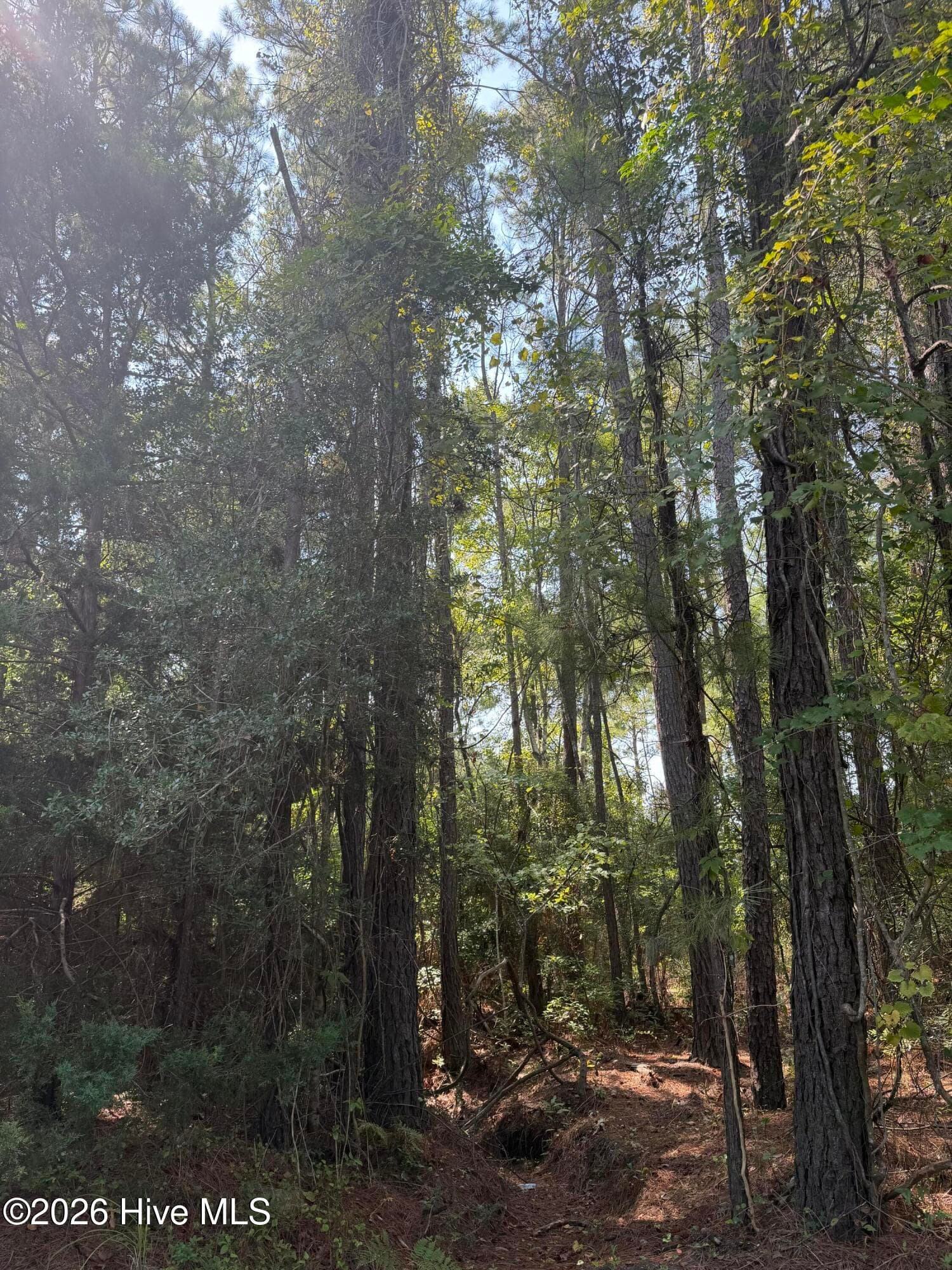 Residential Lot at 2853 Robin Drive SW, Shallotte, NC 28470, photo 5 of 10