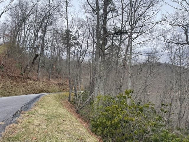 Wooded at 41 41 Mystic Ridge Way W, Topton, NC 28781, photo 4 of 7