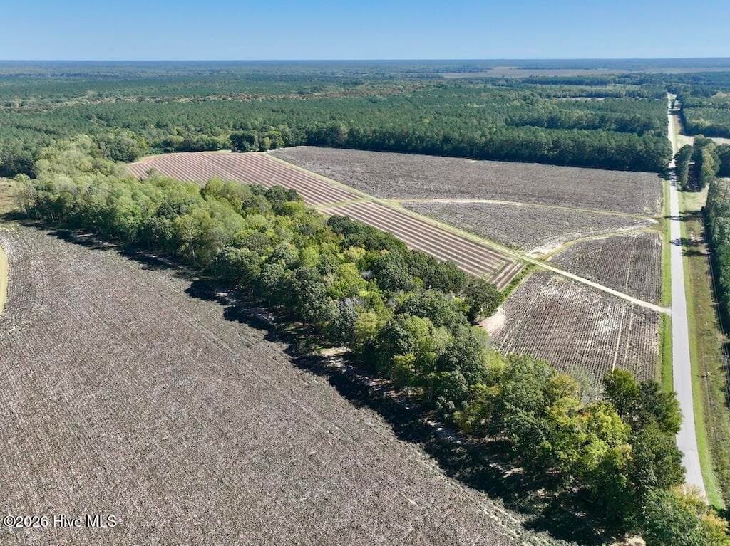 Mixed Use at 0 Spring Hill Road, Scotland Neck, NC 27874, photo 46 of 93