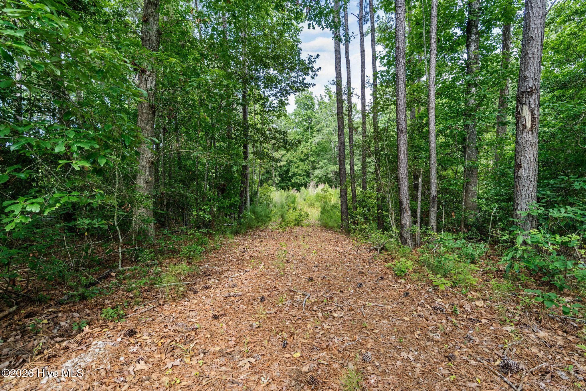 Residential Lot at Lot 19 19 Oyster Point Lane, Hampstead, NC 28443, photo 18 of 20
