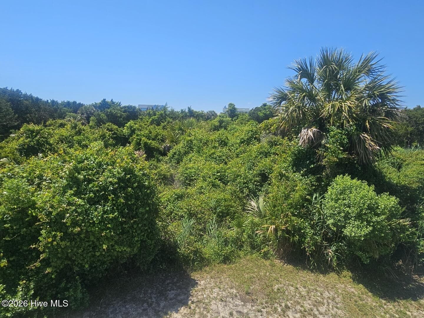 11 Horsemint Trail, Bald Head Island, NC 28461