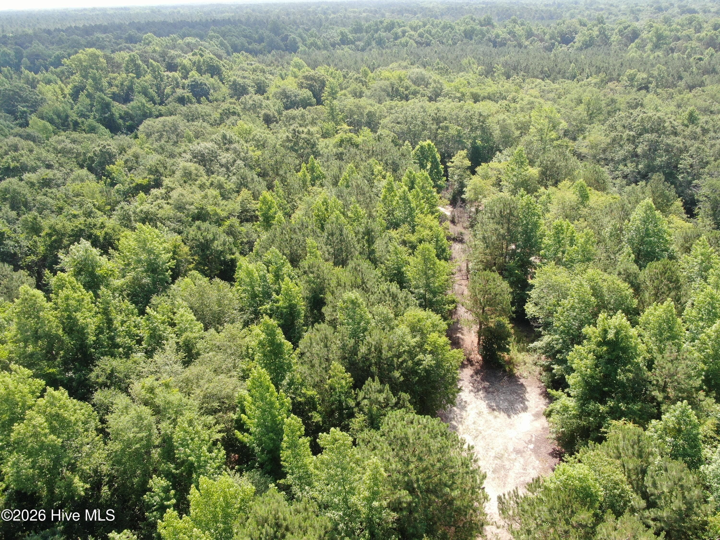 Wooded at Tbd Oliver Carlton Road, Warsaw, NC 28398, photo 11 of 17