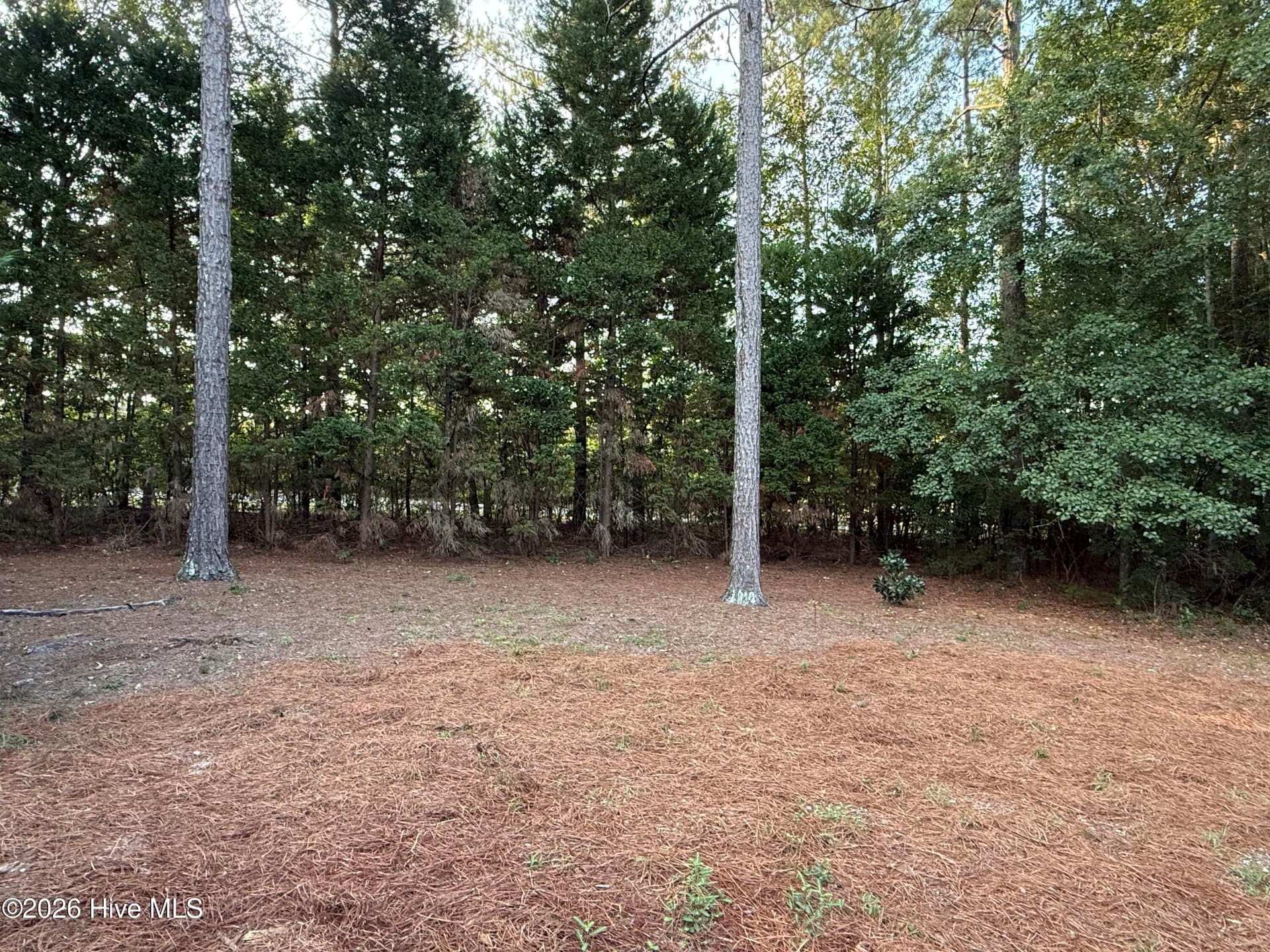 Single Family Residence at 233 Winged Elm Circle, Aiken, SC 29803, photo 81 of 89