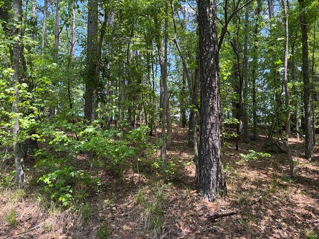 Residential Lot at 2064 Glenn, Grovetown, GA 30813, photo 3 of 12