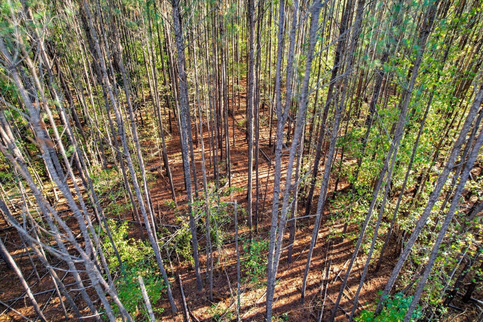 Undeveloped at Tbd2 Sc-23, Edgefield, SC 29824, photo 18 of 41
