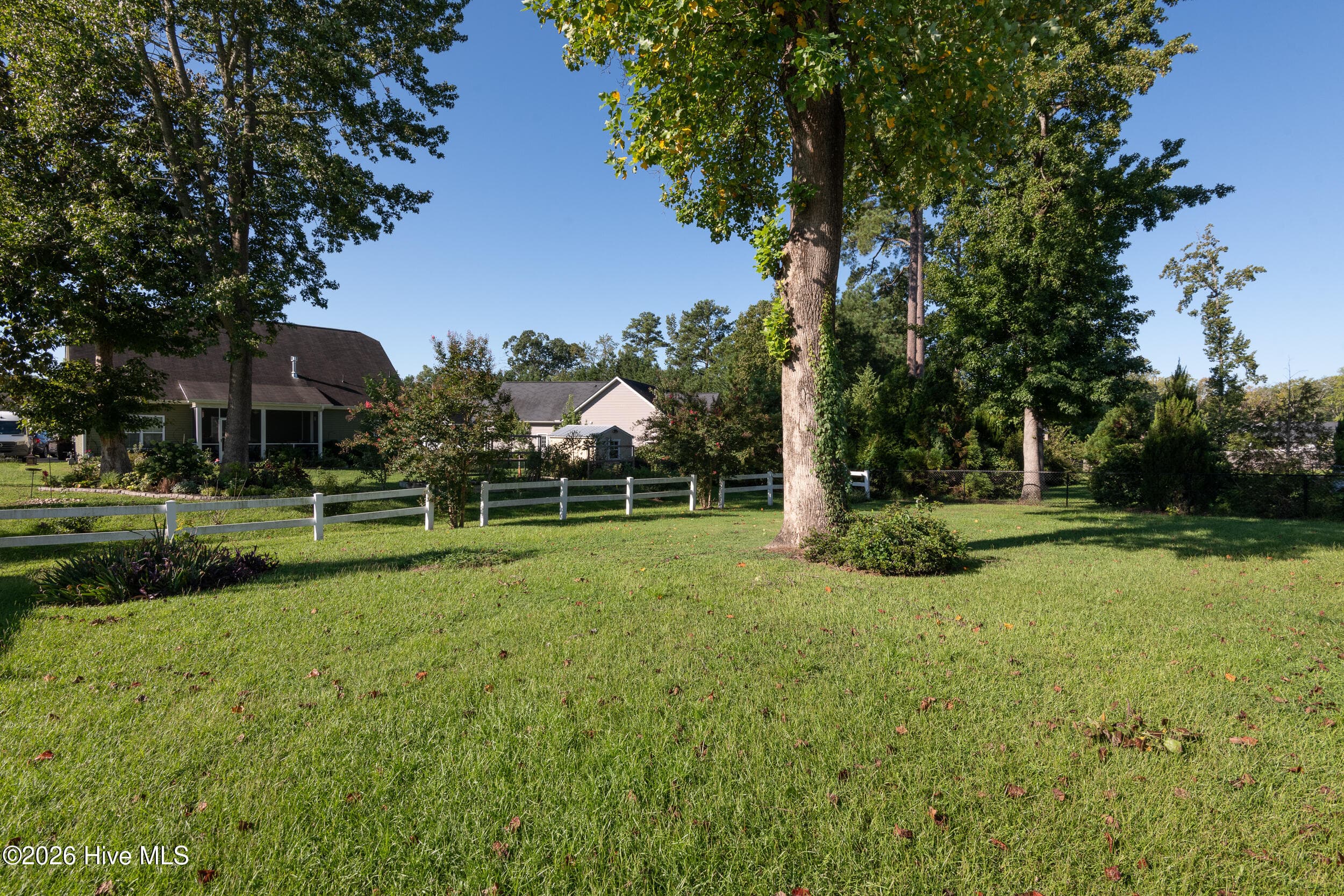 Back Yard - 297 Copper Creek Drive, Winterville, NC 28590