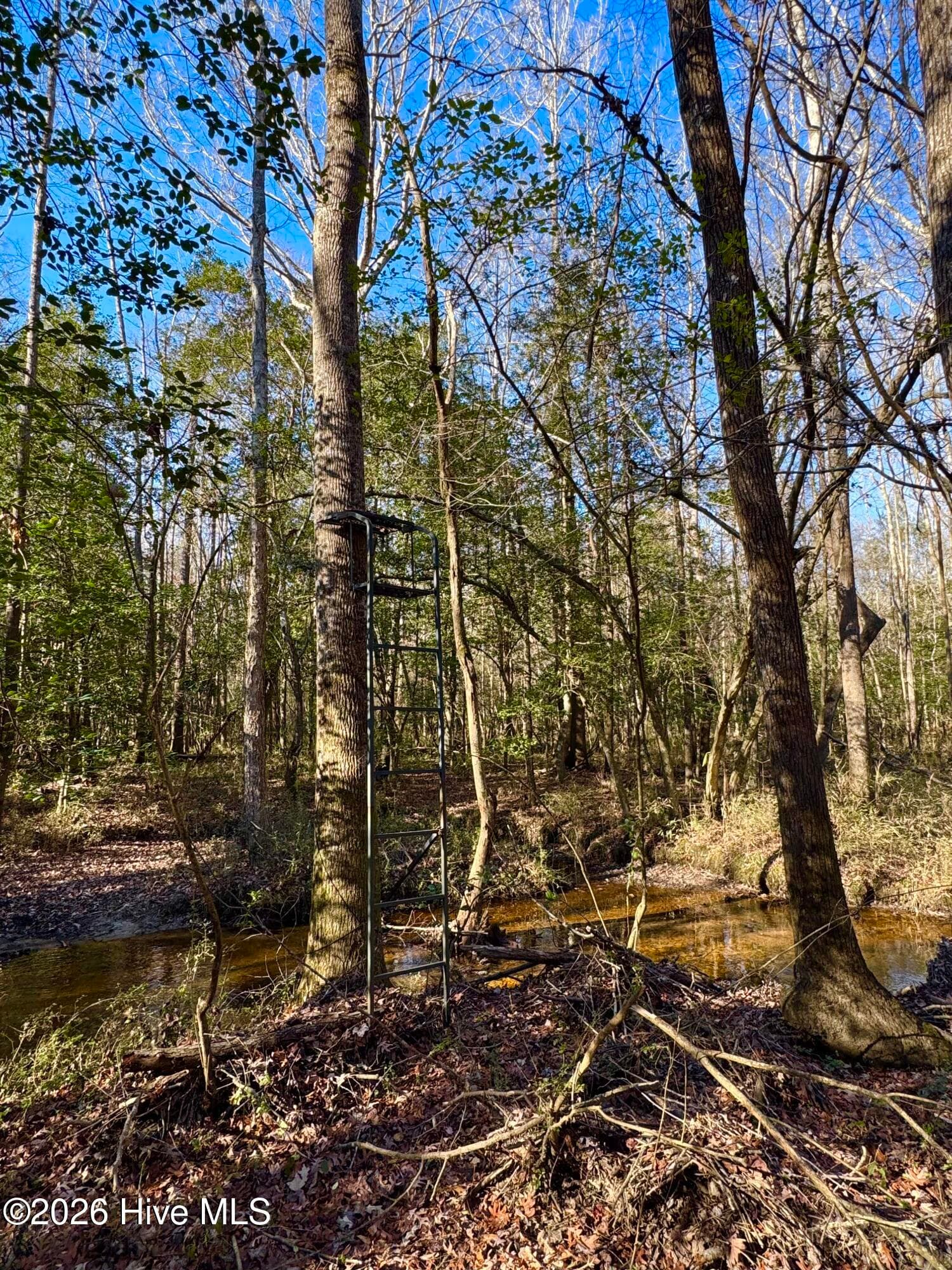 Wooded at 0 Fred Circle S, Kenly, NC 27542, photo 7 of 21