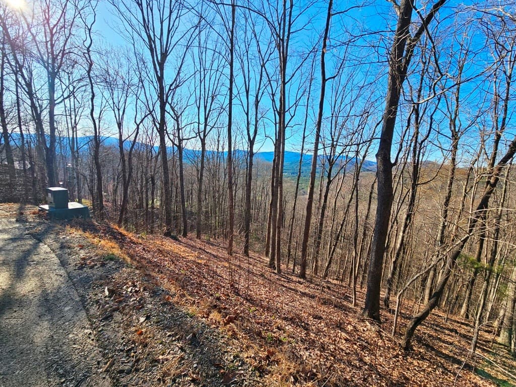 Lot 67 67 Wilderness Creek Way, Murphy, NC 28906