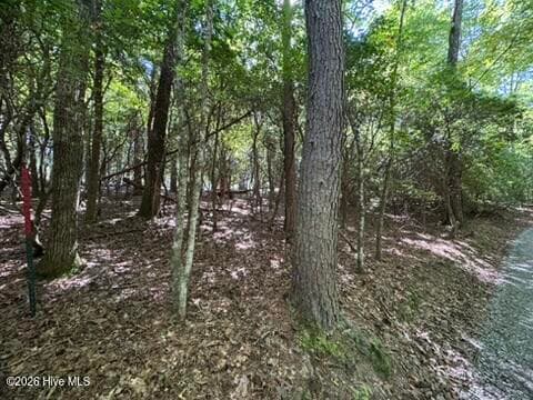 Residential Lot at Lot 1 1 Laurelwood Circle, Murphy, NC 28906, photo 4 of 24
