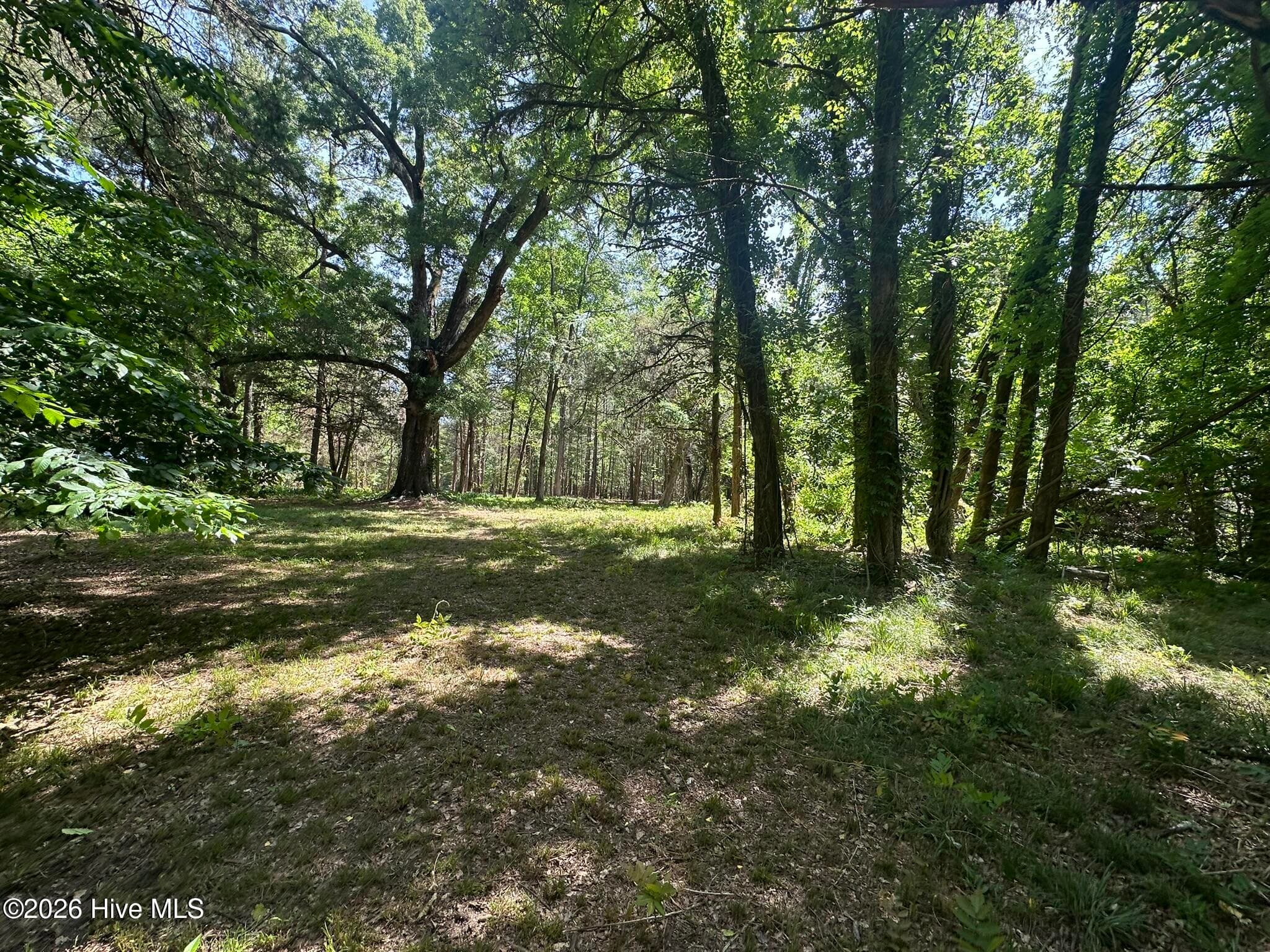 Agriculture at Lot 4 Saggus Road, Washington, GA 30673, photo 6 of 25