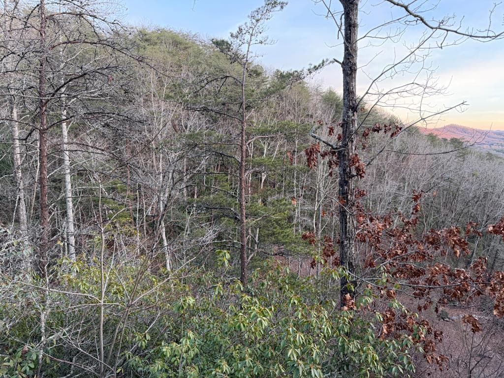Lot #118 Royal View Landing, Murphy, NC 28906