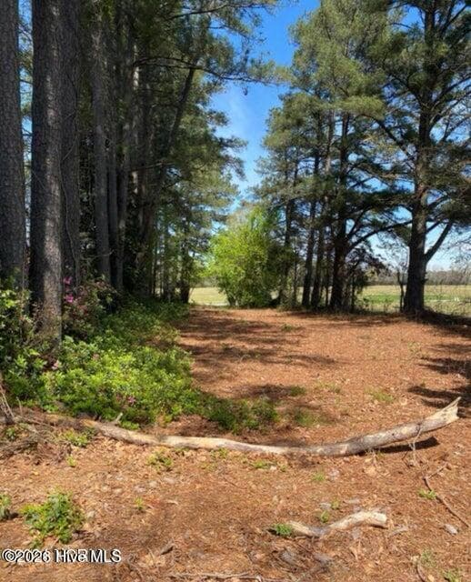 Single Family Residence at 4803 Andrew Jackson Highway SW, Chadbourn, NC 28431, photo 15 of 72