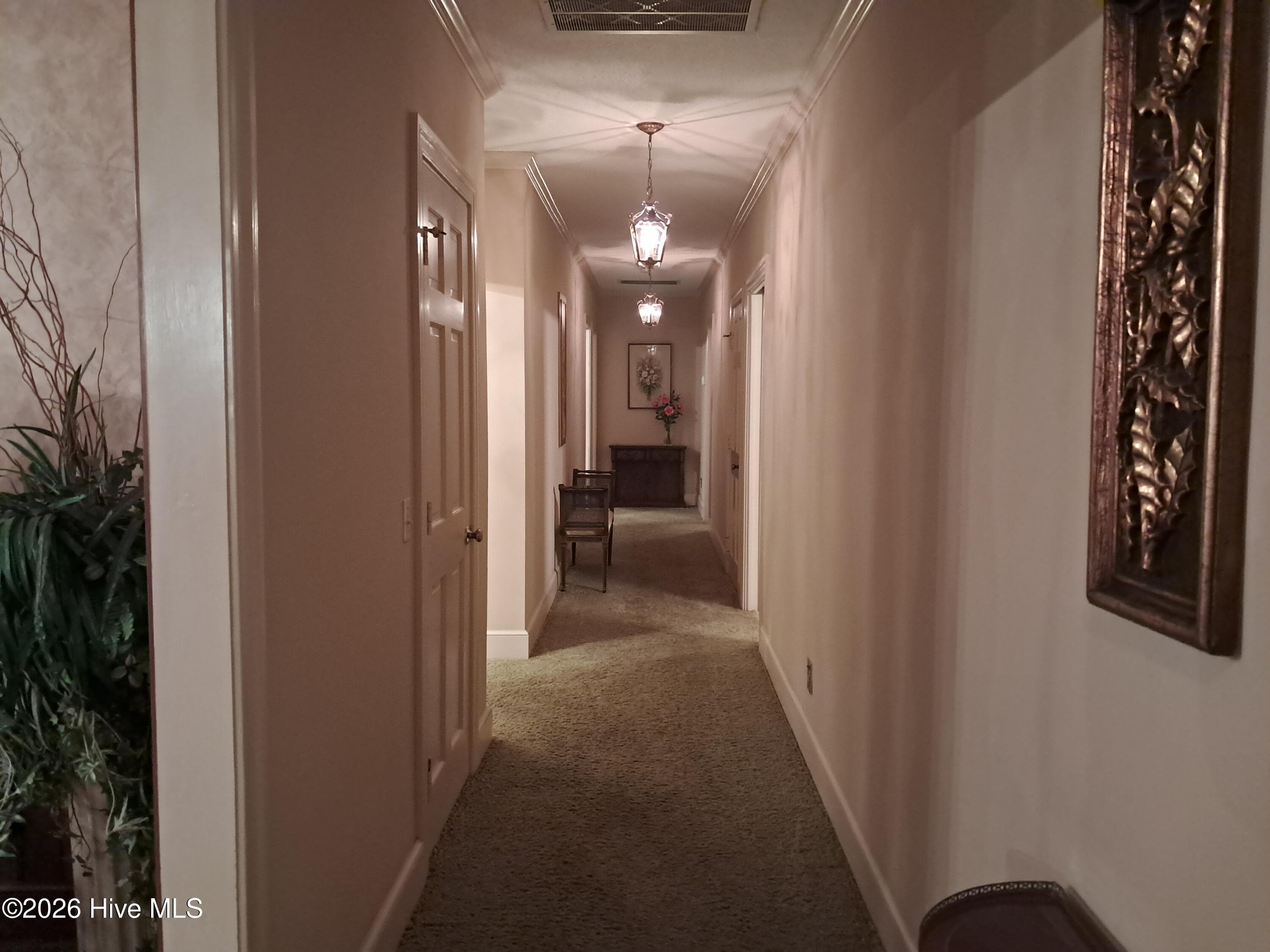 Main hallway - 316 First Street, Hookerton, NC 28538