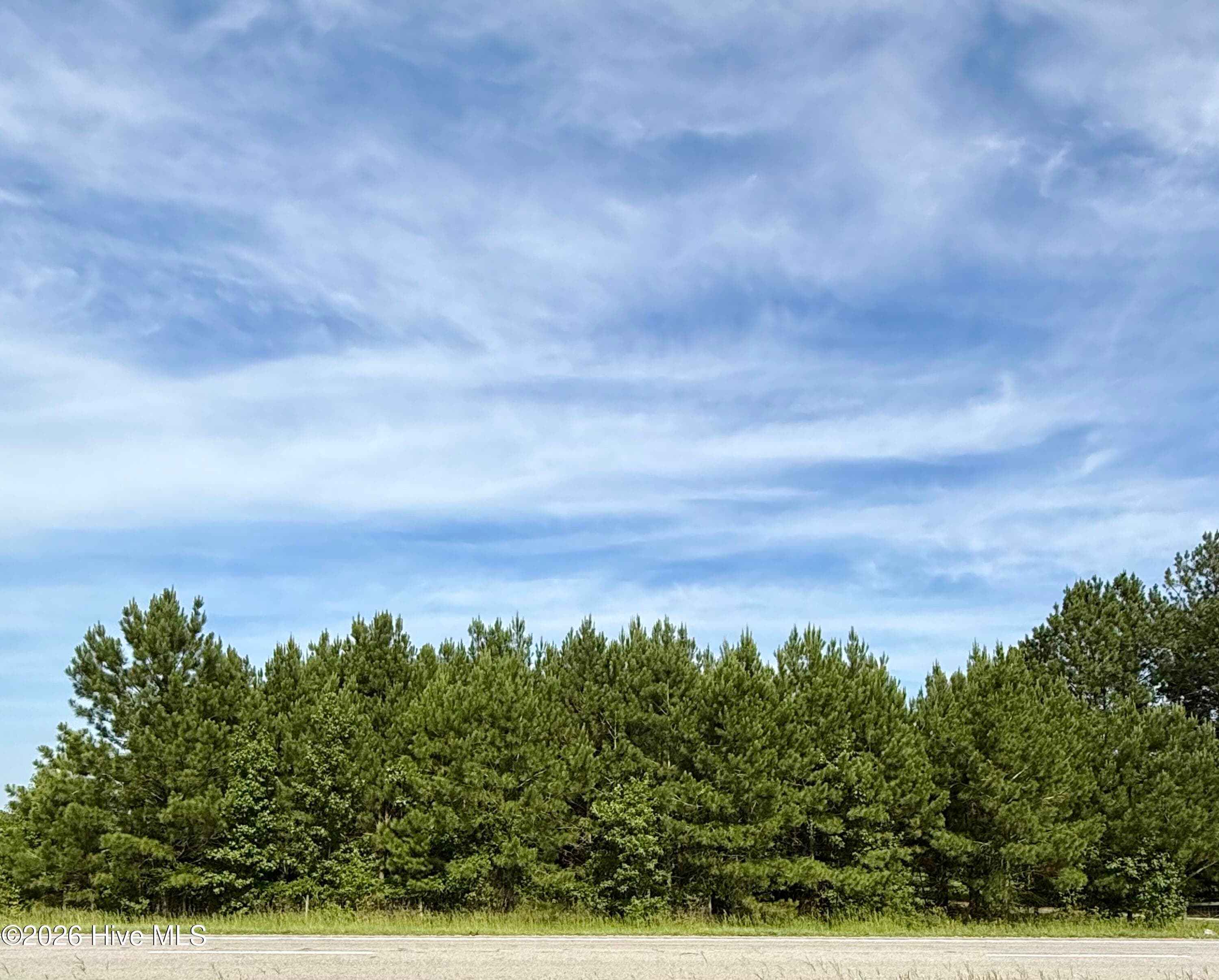 Lot 3 3 Us 17 N, Washington, NC 27889