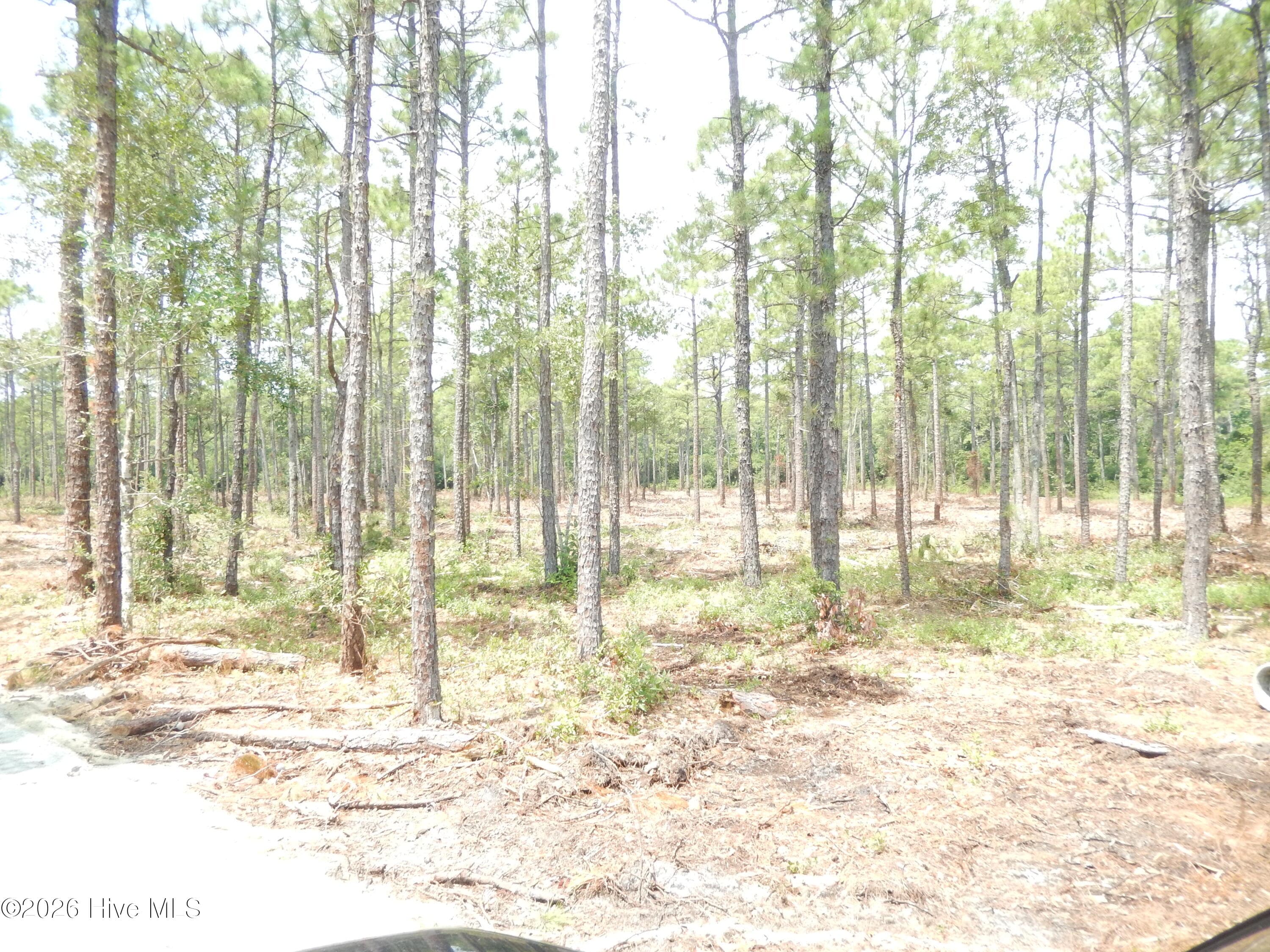 Undeveloped at 372 Greenview Ranches, Wilmington, NC 28411, photo 17 of 61