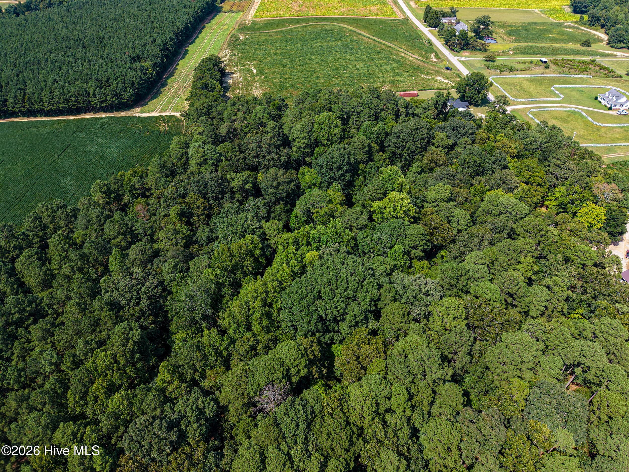 Undeveloped at 0 Stott Road, Bailey, NC 27807, photo 11 of 12