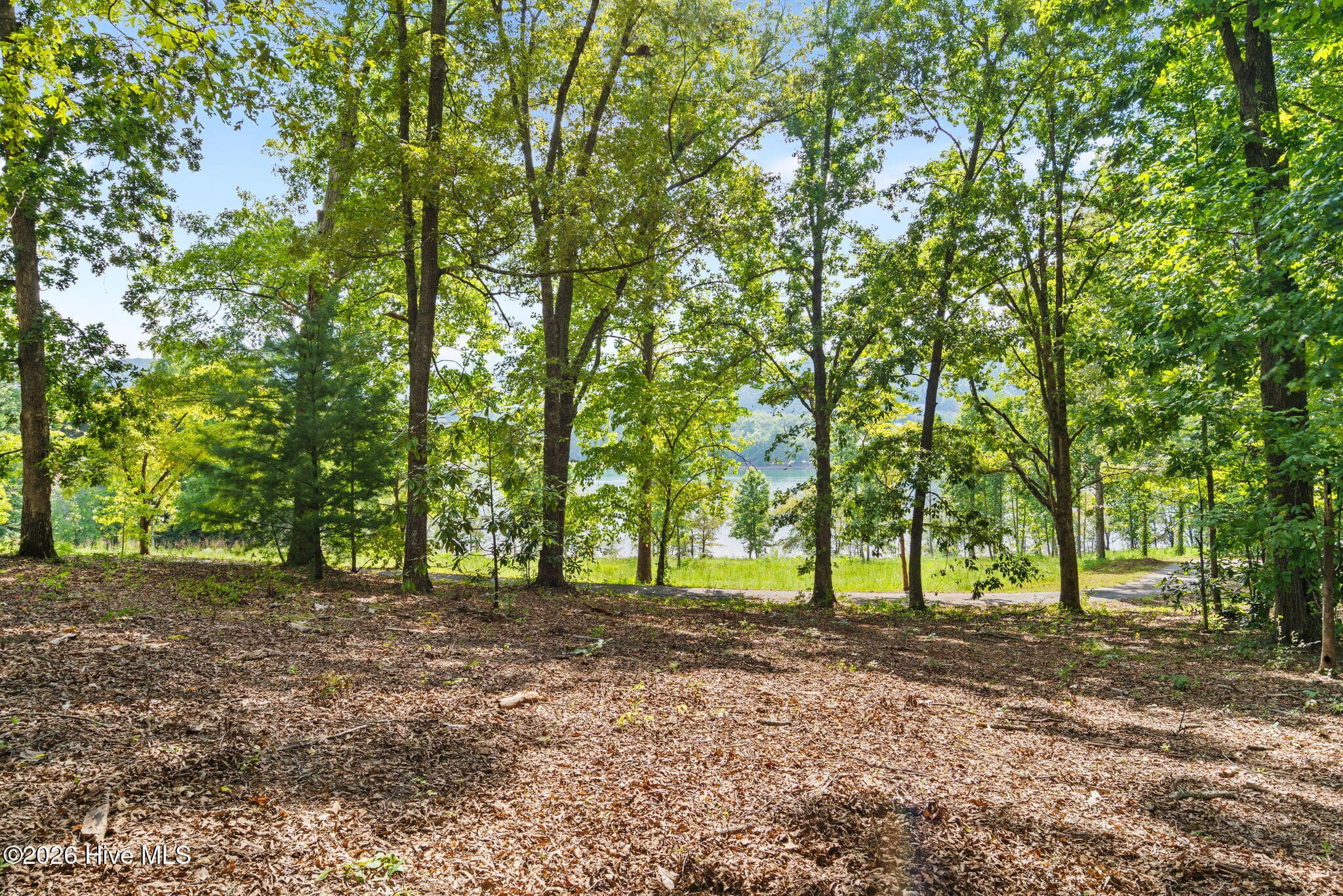 Commercial Sale at 314 Lakeside Drive, Hiawassee, GA 30546, photo 3 of 4